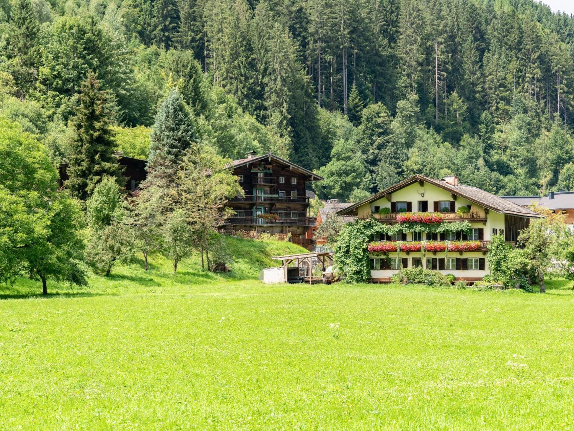 Вілла Alte Grafenmuehle Гопфгартен-ім-Бріксенталь Екстер'єр фото
